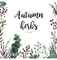 floral watercolor card with herbs and berries vector image