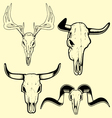 animal skulls vector image vector image