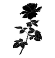 flower rose silhouette vector image