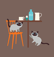kittens and milk vector image vector image