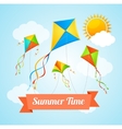 summer card vector image vector image
