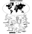 educational african animals coloring book page vector image