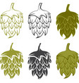 set design template of beer hops vector image