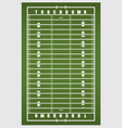 american football field vector image