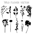 silhouettes of wild flowers and leaves vector image