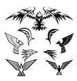 bird symbols vector image