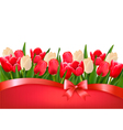 holiday background with bouquet of red and white vector image vector image