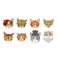 cat heads cute funny cats avatar muzzles vector image vector image