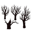 dry trees black silhouettes vector image vector image