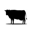 silhouette a cow on a white background vector image