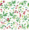 white christmas pattern with rose plant and buds vector image