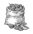 hand drawn vintage graphic with bag and hops vector image