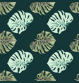 monstera leaves seamless pattern exotic jungle vector image