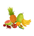 exotic fruits composition with pitaya vector image