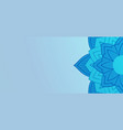 floral modern mandala pattern on light blue vector image