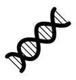dna icon vector image