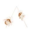 floral decoration frame dried lunaria vector image vector image