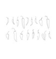 one line art style spicy pepper abstract food vector image