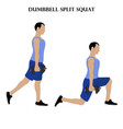 dumbbell split squat exercise strength workout vector image