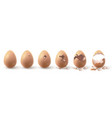 realistic farm chicken egg broken hatching chick vector image vector image