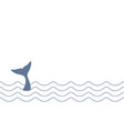 whale line vector image vector image