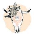 hand drawn cow skull with ornament flower leaves vector image