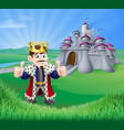 cartoon king and castle vector image vector image