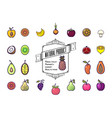 set of colorful fruit icons isolated on a white vector image