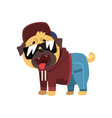 funny pug dog character dressed as hiphop dancer vector image