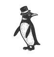 penguin in top hat sketch vector image