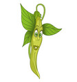 French bean vegetable vector image French bean vegetable