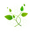 botanical light floral concept vector image