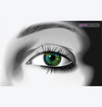realistic woman eye vector image vector image