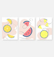 summer fruits orange lemon watermelon abstract vector image