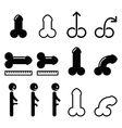 body part - penis size erected impotence i vector image vector image