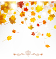 autumn falling maple leaves vector image vector image