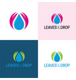 leaves and drop logo vector image