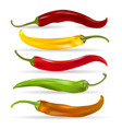 realistic chili pepper set vector image vector image