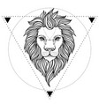 ornate lion head over sacred geometry african vector image vector image
