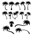 set tropical palm trees with leaves mature vector image