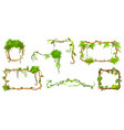 collection green tropical frame vector image vector image