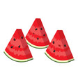 watermelon slices vector image vector image