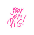 year of the pig xmas brush lettering vector image vector image