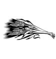 a sheaf of cones wheat vector image