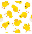 pattern cute yellow baby chicken for easter design vector image