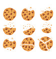 crumbled oatmeal cookies with chocolate chips vector image vector image