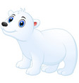 Cute polar bear cartoon Royalty Free Vector Image