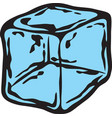 ice cube color vector image vector image