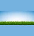 green grass isolated blue sky background vector image vector image