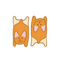 corgi dogs relax funny puppy sketch for your vector image